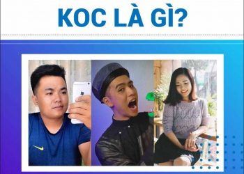 Là những người tiêu dùng có sức ảnh hưởng trên nhiều nền tảng trực tuyến