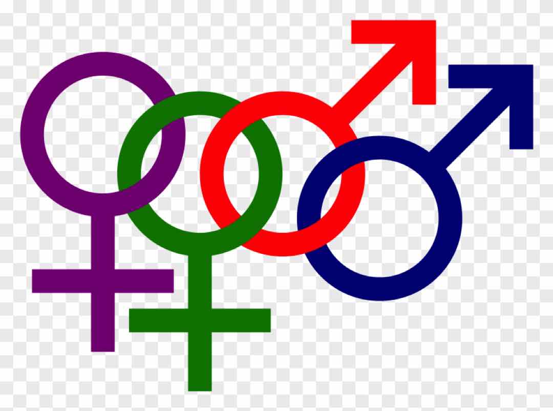Người dị tính có biểu tượng như LGBT hay không?