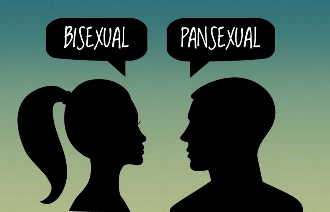 Khác với (song tính), pansexuality là thuật ngữ dùng để chỉ tình trạng toàn tính luyến ái