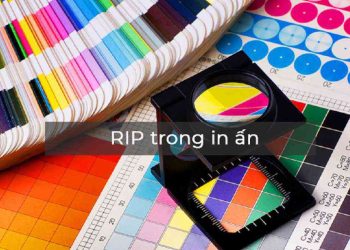 Các ứng dụng của RIP trong in ấn