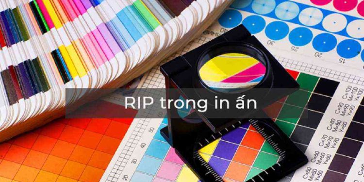 Các ứng dụng của RIP trong in ấn