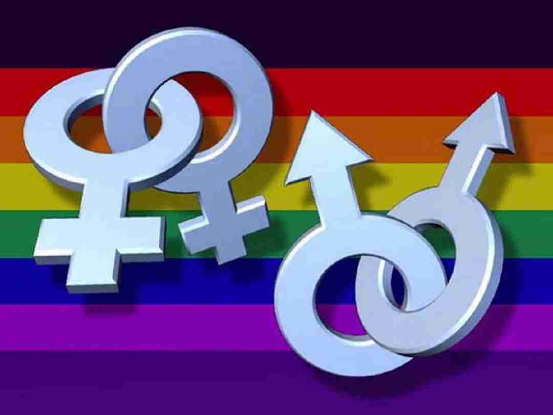 Giới thiệu về Biểu Tượng LGBT và Người Dị Tính